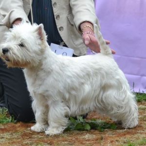 25. Oppenklass tikar. Plac.4