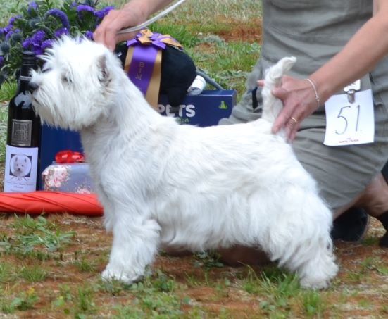 30. Veteran tikar. Plac.1