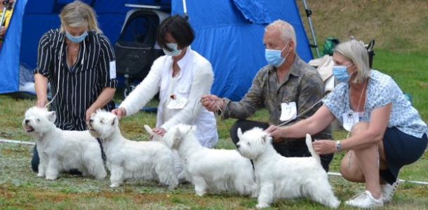 33. Uppfodarklass. Werweise s