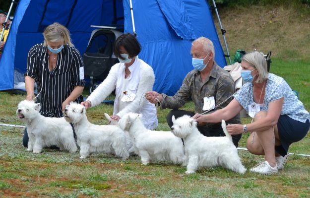 33. Uppfodarklass. Werweise s