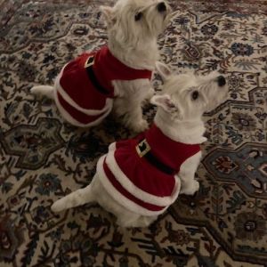 Wilmie och Selma vantar pa tomten