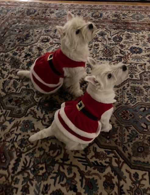 Wilmie och Selma vantar pa tomten