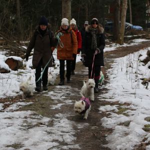 318313123 8902954936108450184 n  1  316