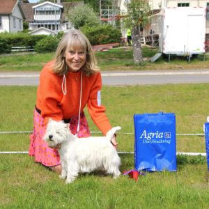 4a Oppenklass tikar 355