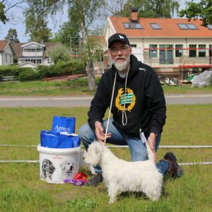 5a Championklass tikar 354