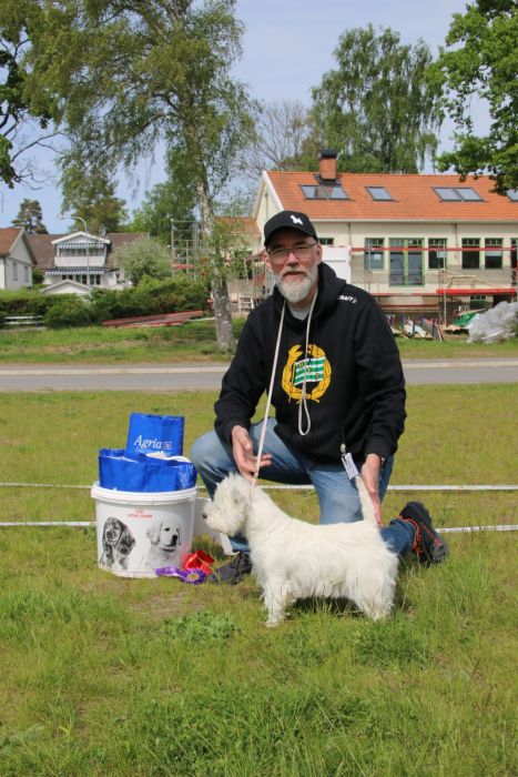 5a Championklass tikar 354