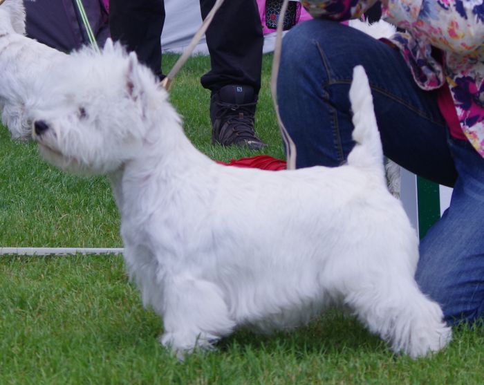 Basta tik nr.4 Piquants Take Your Time