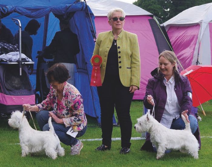 01 JuniorBIR Piquants Take Your Time BIMInverour Celtic Fling Of Fife