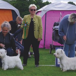 03 VeteranklassBIR Rieskant s Kiss Me Quick BIMSE UCH Piquants Moon Pai