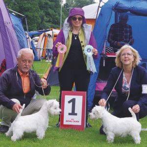 08 valp  9 manaderBIRPrimos Royal Highness BIMRiver Walk Miracle of Love 452