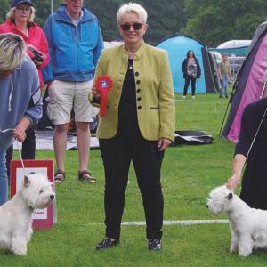 09 UnghundBIRTime To Shine Vertragus BIMKenzington Kiwi Girl