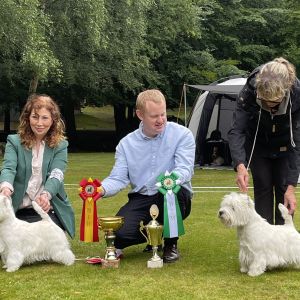 Bir och bim utan tacken