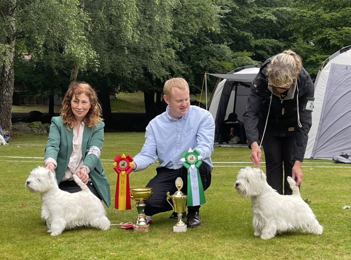 Bir och bim utan tacken