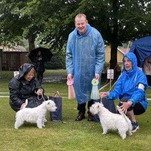 Bir och bim valp 9 red 499