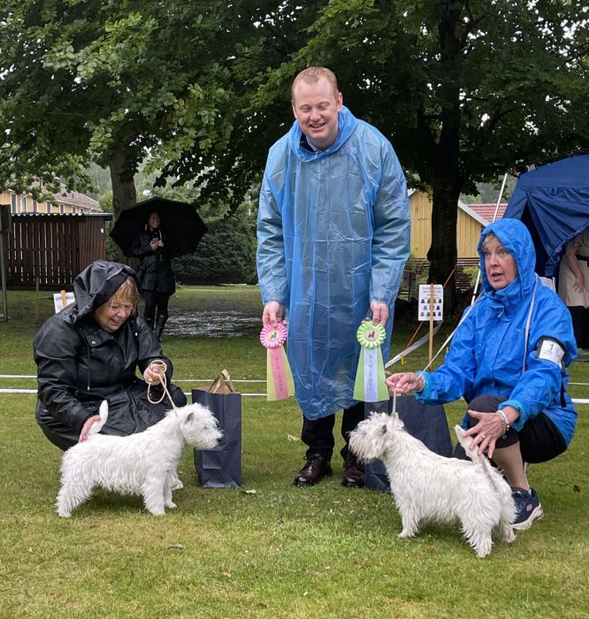 Bir och bim valp 9 red 499