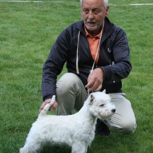 BIS valp Primos Royal Highness 02