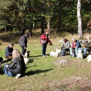 462181674 247808333035562364 n 584