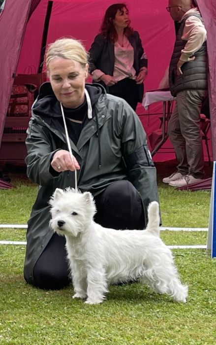 Juniorklass hanar 510