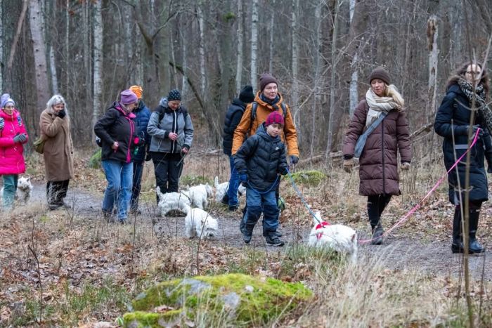 facebook 7269006590417038790 626