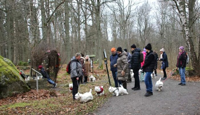 facebook 7269007216917631289 622