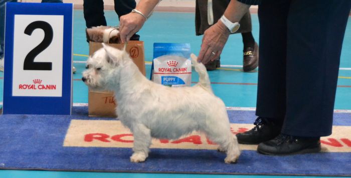 02 6 manader tikvalp nr 2 748