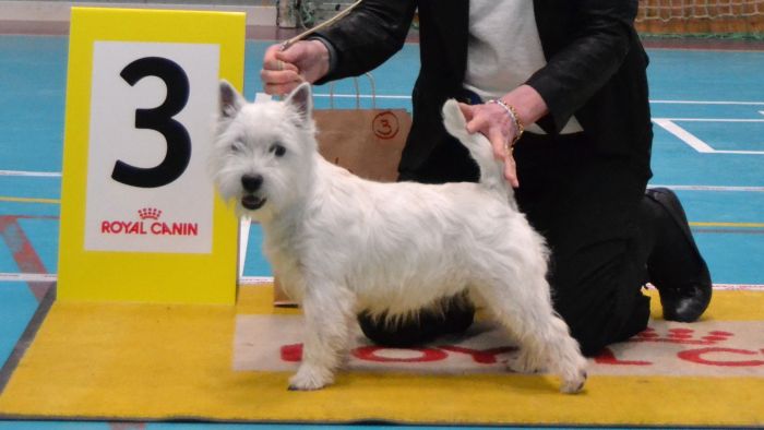 03 6 manader tikvalp nr 3 749