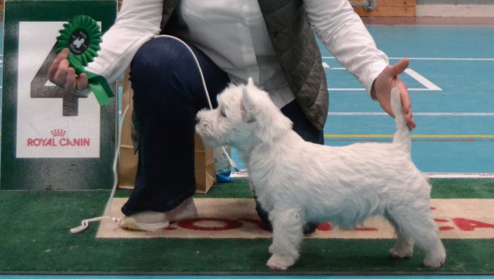 04 6 manader tikvalp nr 750