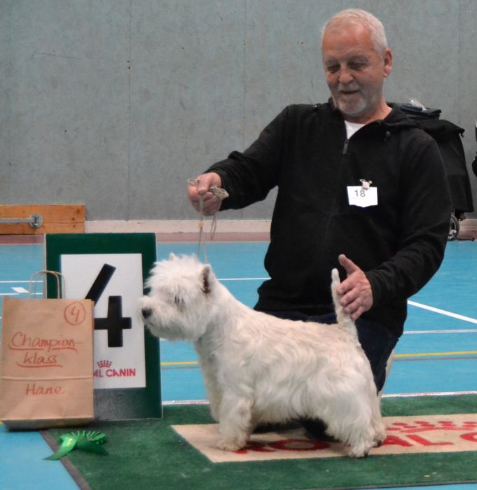 16 Championklass hanar nr.4