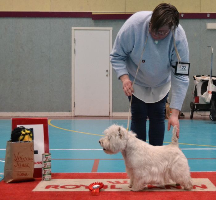 24 Veteranklass hanar nr.1