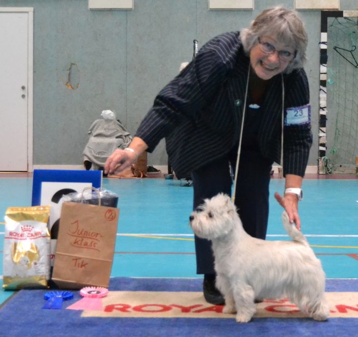 26 Juniorklass tikar nr.2