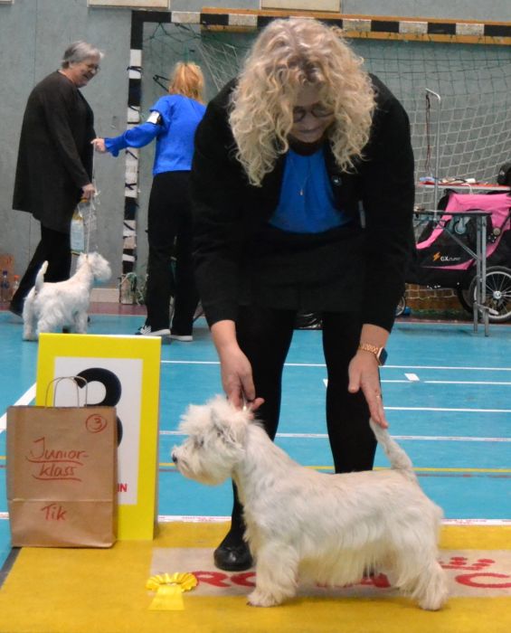 27 Juniorklass tikar nr.3