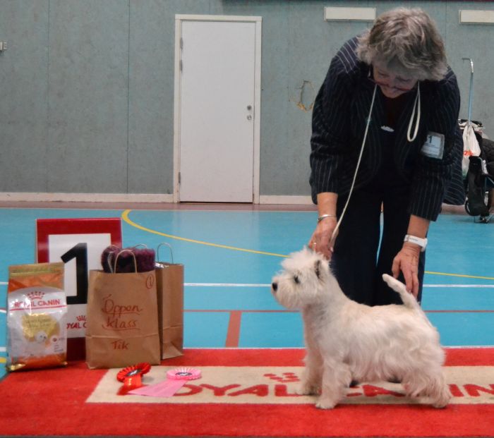 29 Oppenklass tikar nr.1