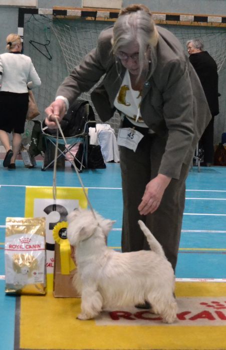 31 Oppenklass tikar nr.3