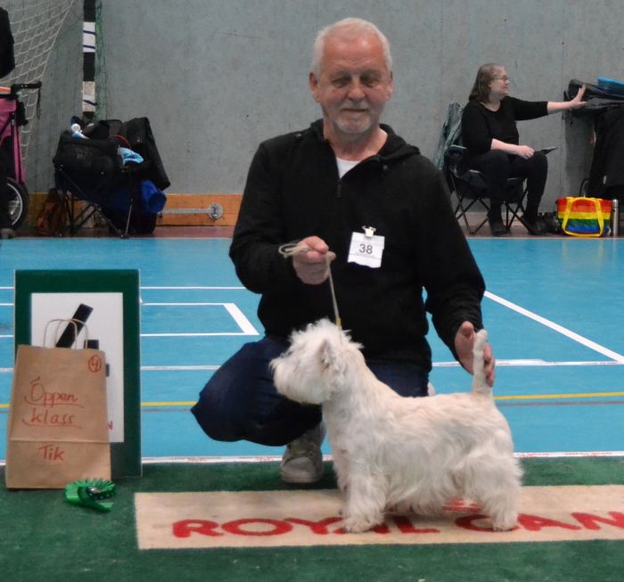 32 Oppenklass tikar nr.4