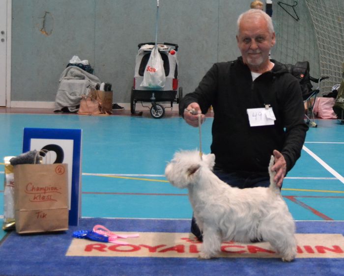 38 Championklass tikar nr.2