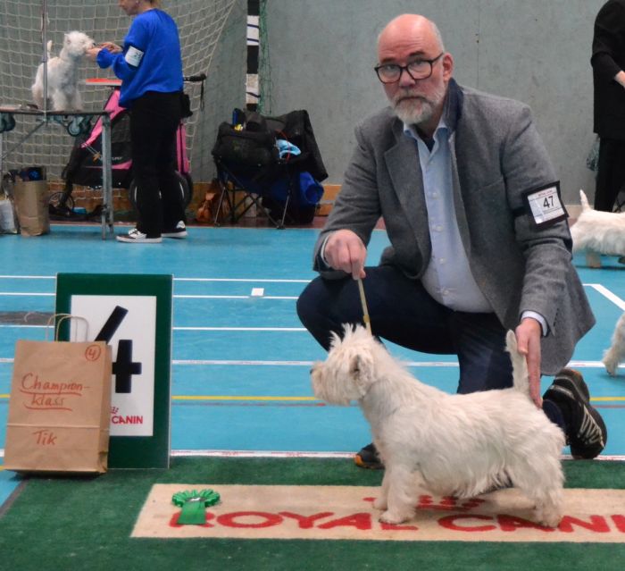 40 Championklass tikar nr.4