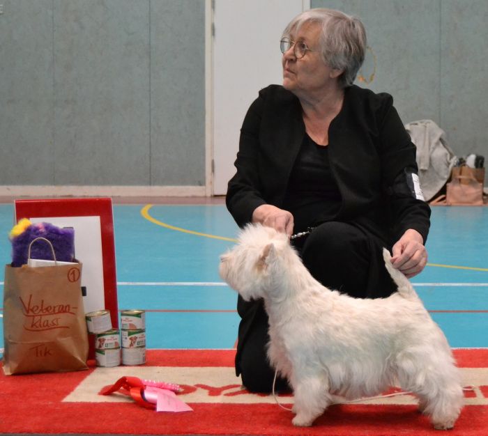 41 Veteranklass tikar nr.1