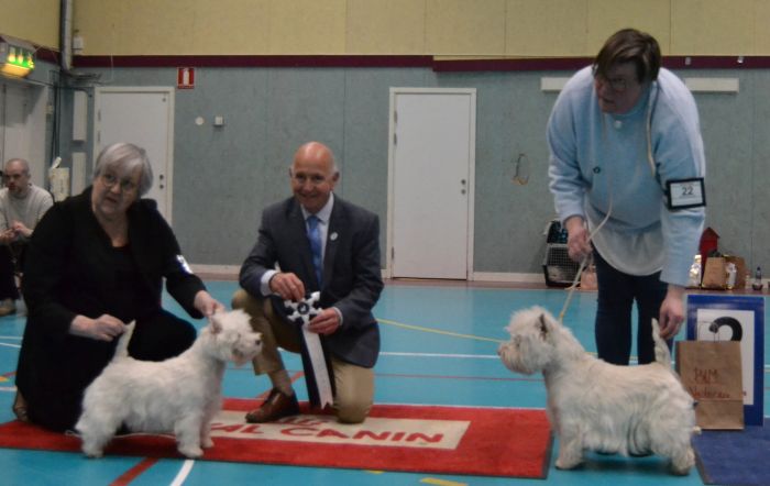 46 Basta veteran 792