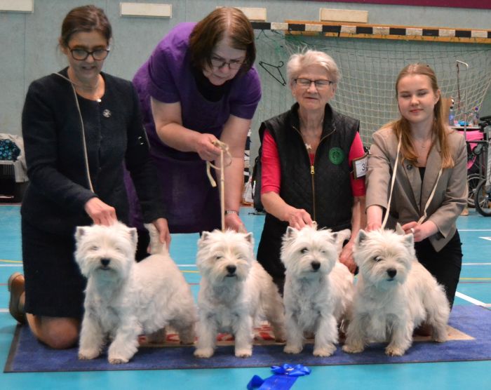 48 Basta uppfodargrupp nr.2