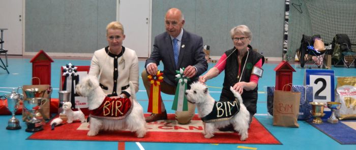 51 BIS   BIM med tacken 797