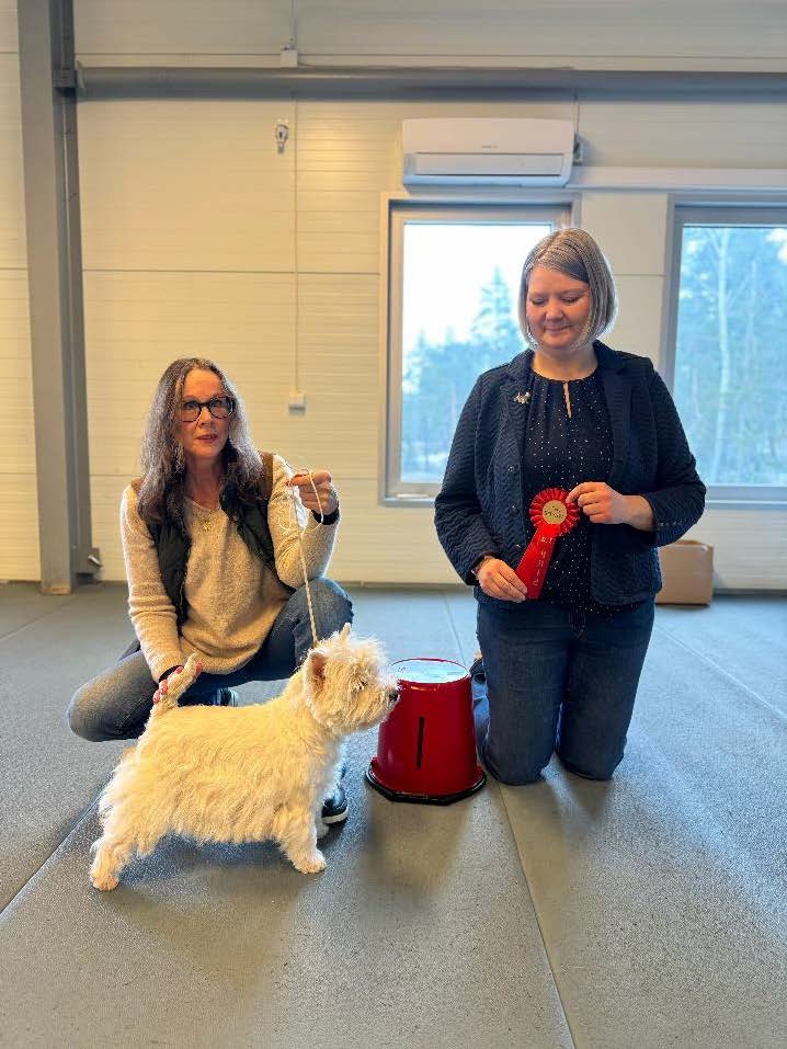 Äldre Tikar 8 år 1 a Freja