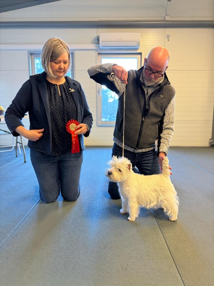 Vuxna Tikar 1 a Tilde